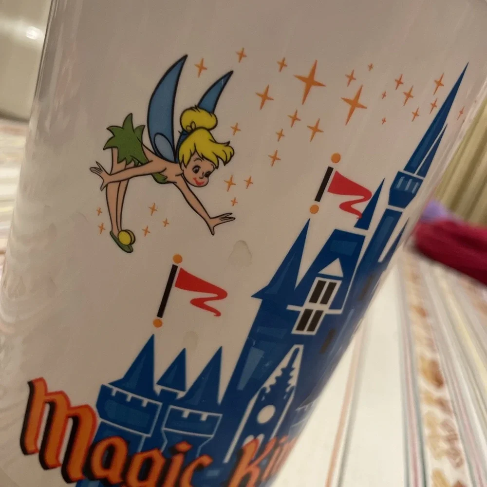 Walt‎ Disney World Animal Kingdom Orville Redenbacher's Popcorn Bucket Souvenir